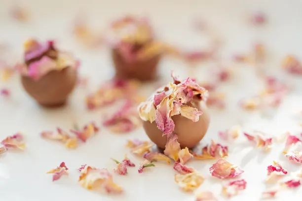 كوين365بيت كازينو تطبيق أندرويد/آي أو إس